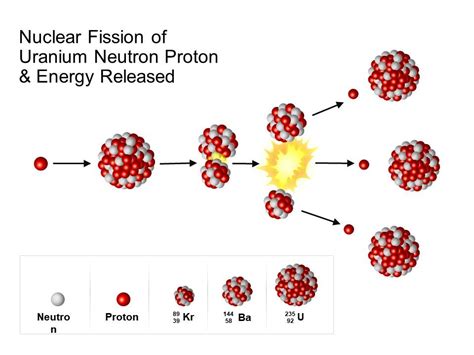 Nuclear Fission Of Uranium Neutron Proton And Energy Released | Presentation Graphics ...