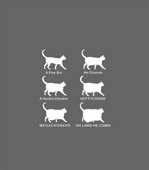 Chonk Cat Classification Chart Funny Chonk Chart Digital Art by Klayto ...