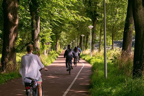 Amsterdam: Windmill, Cheese & Clogs Countryside E-Bike Tour | GetYourGuide