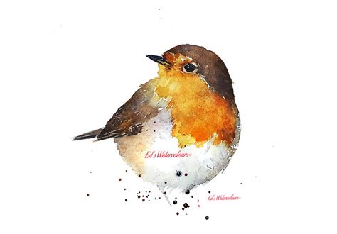 Robin 2 Watercolour Print. Robin Art,robin Print,robin Painting,robin ...