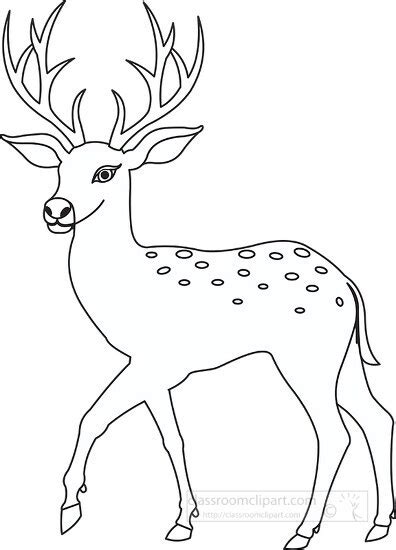 Deer Clipart-deer outline clipart