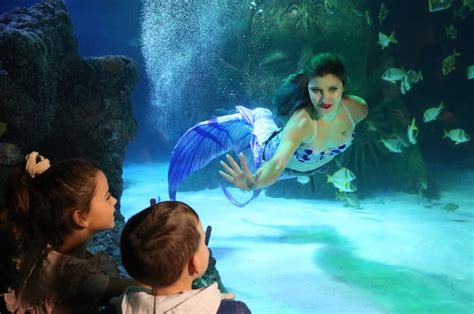 Meet mermaids at Manchester's Sea Life Centre