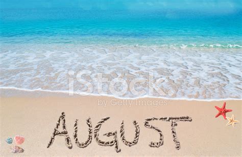 August On A Tropical Beach Stock Photo | Royalty-Free | FreeImages