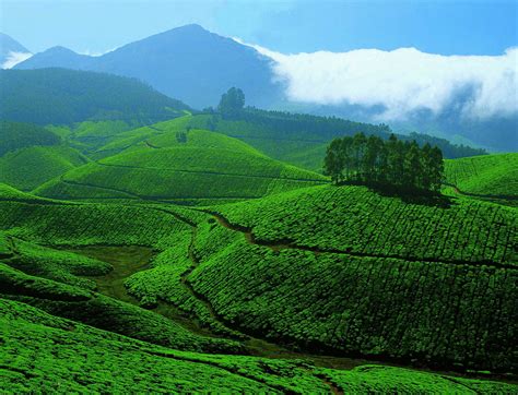 10 Reasons Why Kerala Should Be Your Next Holiday Destination