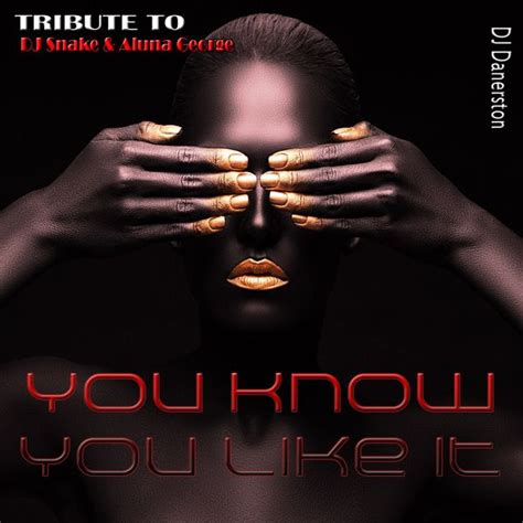 You Know You Like It (Tribute to DJ Snake & Aluna George) | DJ Danerston – Télécharger et ...