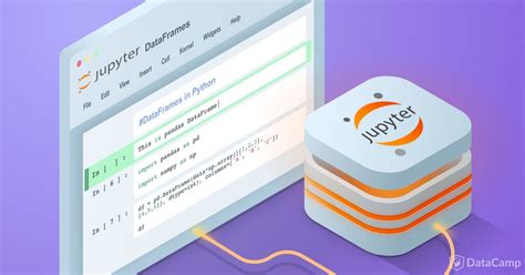 Jupyter Notebook Tutorial: The Definitive Guide Learn Programming ...