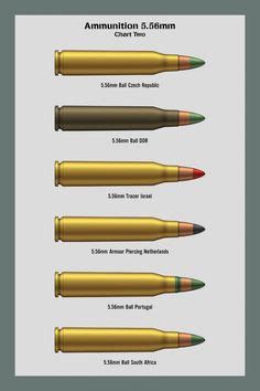 .223/5.56 ammo