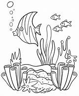 Coral Reef And Fishes Coloring Page  Free Printable Pages For sketch template