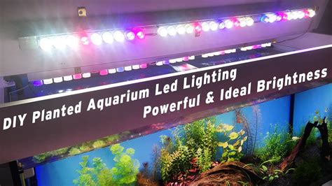 DIY Planted Aquarium Led Lighting Powerful & Ideal Brightness - YouTube