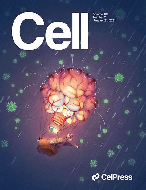 Best scientific journal covers from 2021