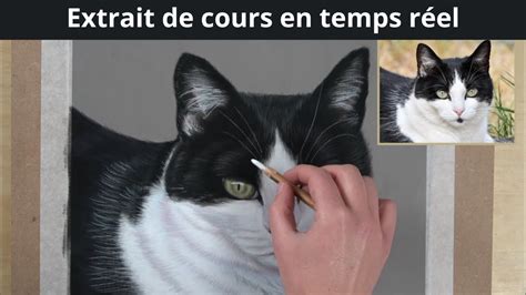 Comment peindre un chat noir et blanc - YouTube