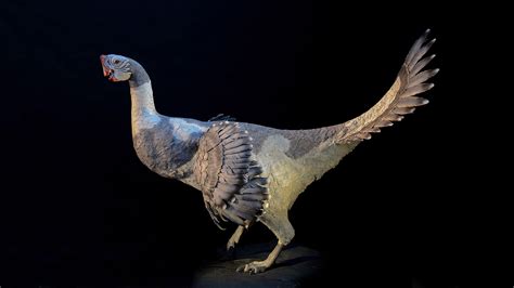 11 Terrifying Dinosaurs That Rocked Feathers Better Than Birds | Audubon