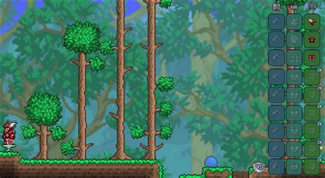 What Is the Best Armor in Terraria? A Full List