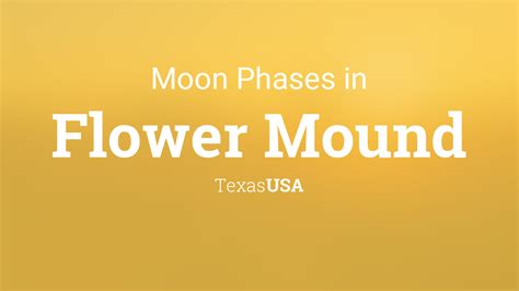 10 Day Weather Forecast For Flower Mound Texas | Best Flower Site