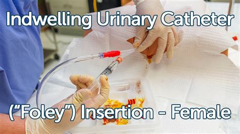 Foley Catheter Insertion Female How To Insert A Foley Catheter Sterile ...