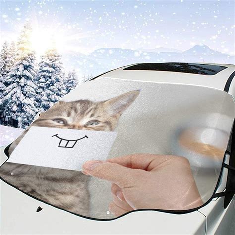 Amazon.com: JUNJIEshop Sun Shade Car Window Humorous Special Cute ...