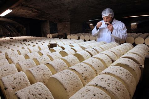 French farmers sound alarm in cheese market meltdown amid pandemic ...