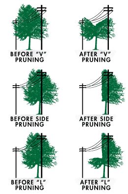 Distribution Lines & Trees | Edmond, OK - Official Website