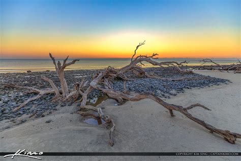 Nice view Sunrise at Driftwood Beach | Royal Stock Photo