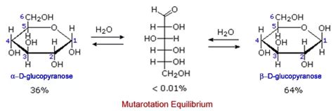 Explain the mutarotation of glucose. toppr.com