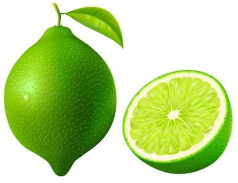 Green Lime PNG Vector Clipart Image | Lime, Clip art, Lemon background