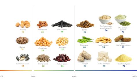 Amino Acids Examples Food