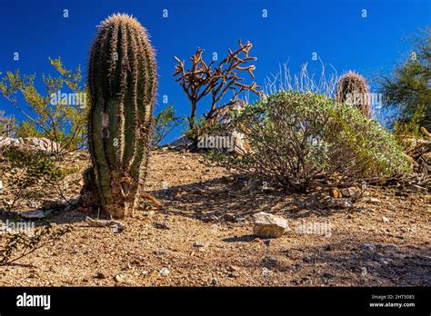 South Mountain Park, Phoenix Stock Photo - Alamy