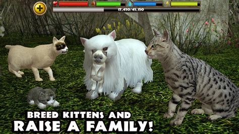 Stray Cat Simulator 1.0.4 [Full Version] Android Game APK Free Download ...