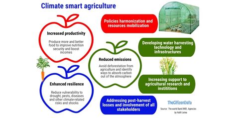 How Tanzania agriculture can cope with effects of climate change | The Citizen