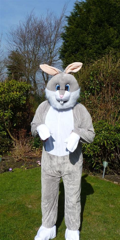 bugs bunny costume free image | Peakpx