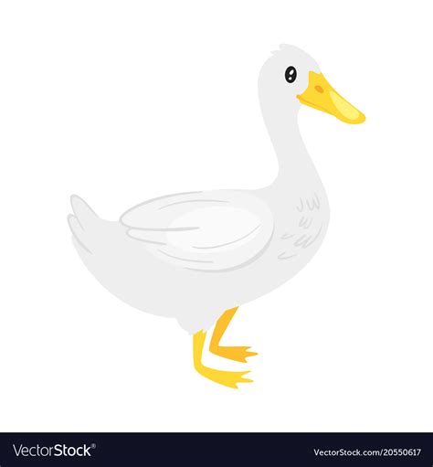 Farm animal - duck Royalty Free Vector Image - VectorStock