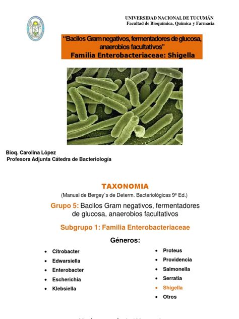 Shigella 2023 | PDF | Diarrea | Escherichia coli