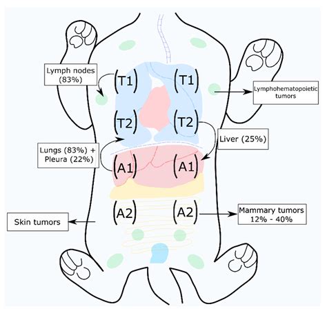 Veterinary Sciences | Free Full-Text | Emerging Biomarkers and Targeted ...