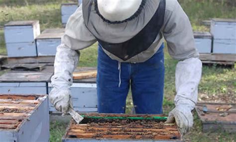 Apiary location - Mid-Atlantic Apiculture Research and Extension Consortium