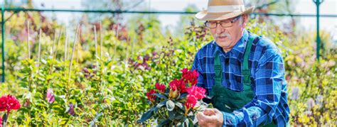 The 5 Best Benefits of Gardening for Seniors Plus Bonus Safety Tips - Buzztime