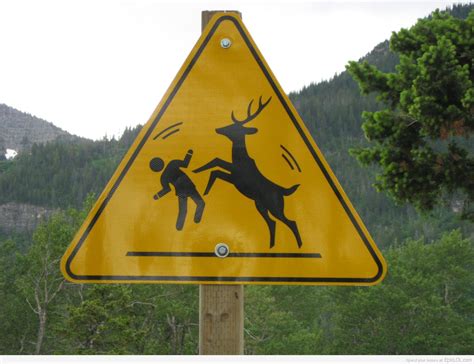 Caution, Deer Dance-Off Ahead | Epic LOL | Funny sign fails, Funny ...