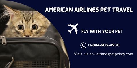 American Airlines Pet Travel - American Airlines Pet Policy - Medium