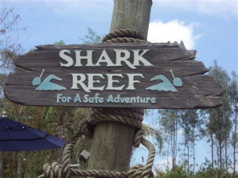 Typhoon Lagoon, Shark Reef, Disney World, Florida | Disney water parks ...