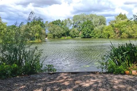 North Yorkshire Carp Fishing Lakes Near Me - Discover The Best Fishing ...