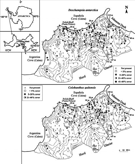 Distribution and abundance of Deschampsia antarctica and Colobanthus ...