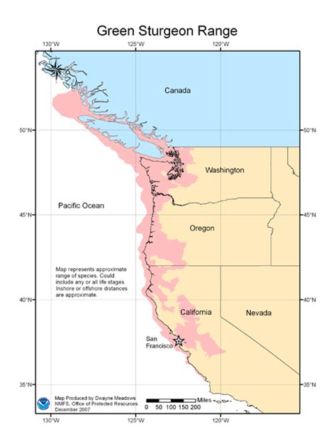 Legal Action Protects Green Sturgeon | Siskiyou Land Conservancy