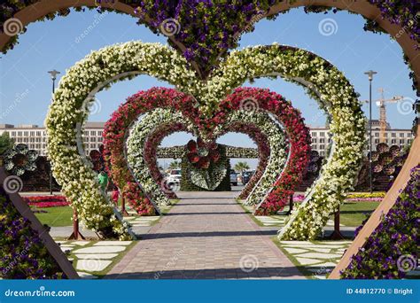 Flower Garden Hearts, Dubai Miracle Garden Editorial Image - Image of ...