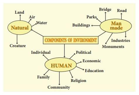 Man and environment