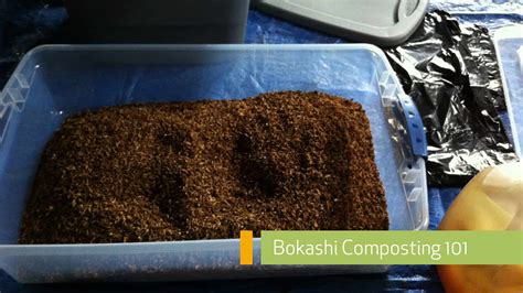 Bokashi Composting - Everything You Need to Know