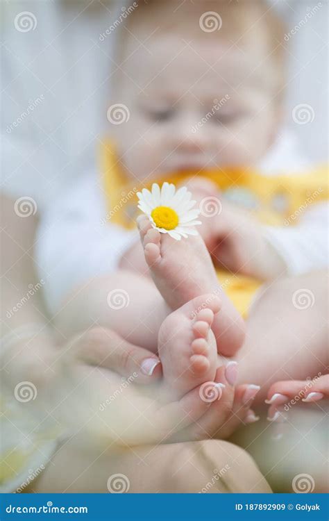 Daisy or Camomile Flower in Baby Feet with Tiny Fingers Laying on ...