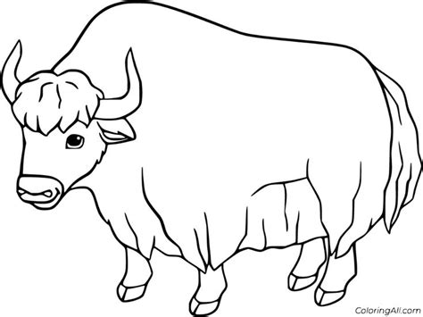 39 free printable Yak coloring pages in vector format, easy to print from any device and ...