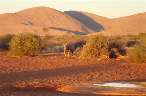 Images of Tswalu Kalahari Reserve | South Africa National Parks