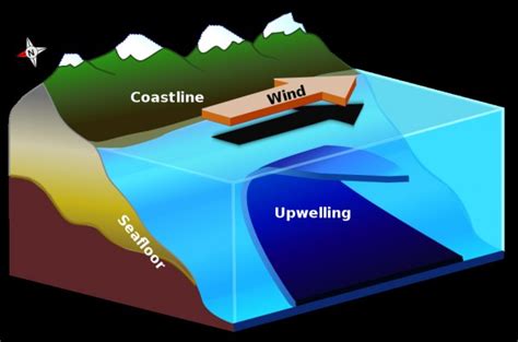 Biome - upwellings