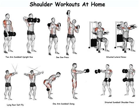 List of Best Known And Professional Recommended Shoulder Workouts For Mass - AnytimeStrength Arm ...