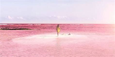 Las Coloradas Mexico - Pink Lake Mexico